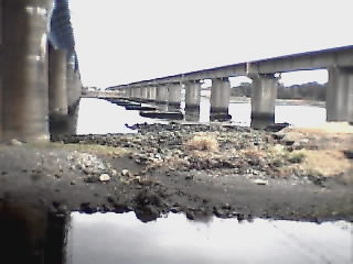 �^�񒆂Ɍ�����̂��A�̂̔n�����i�S���p�j�̋��r�̐Ղł�